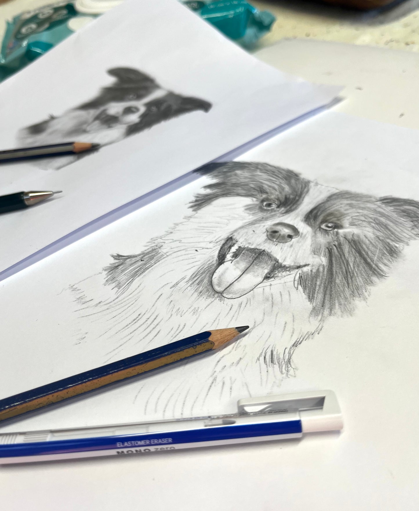 Holiday Workshop: Realistic Animal Drawing